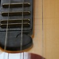 Scherrzither