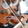 Violine